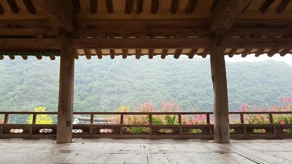 SE-0a684f54-1ead-4278-9921-7a1699c0a78e.jpg?type=w1