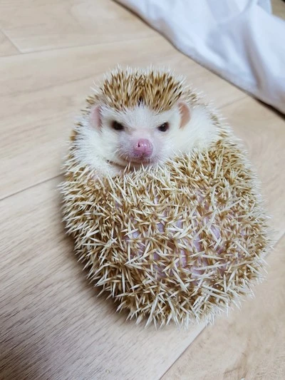 KakaoTalk_20170614_113105978.jpg?type=w1