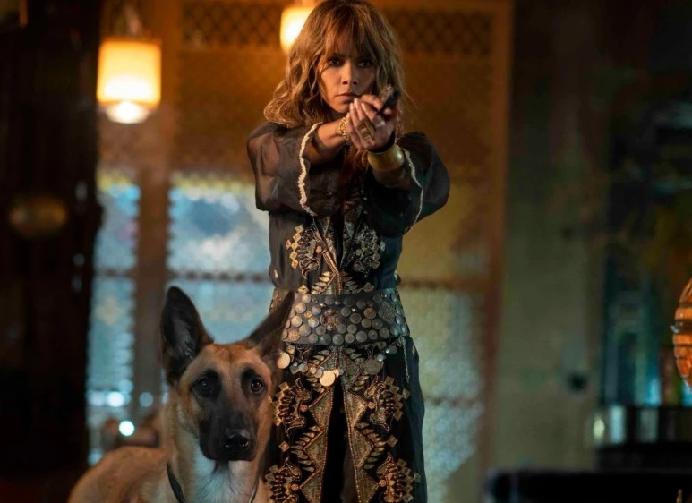 Halle-Berry-John-Wick-Chapter-3-Parabellum.jpg?type=w773