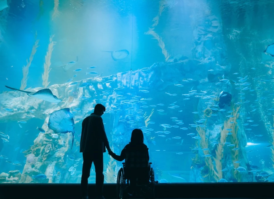 movie_image_(3).jpg?type=w1