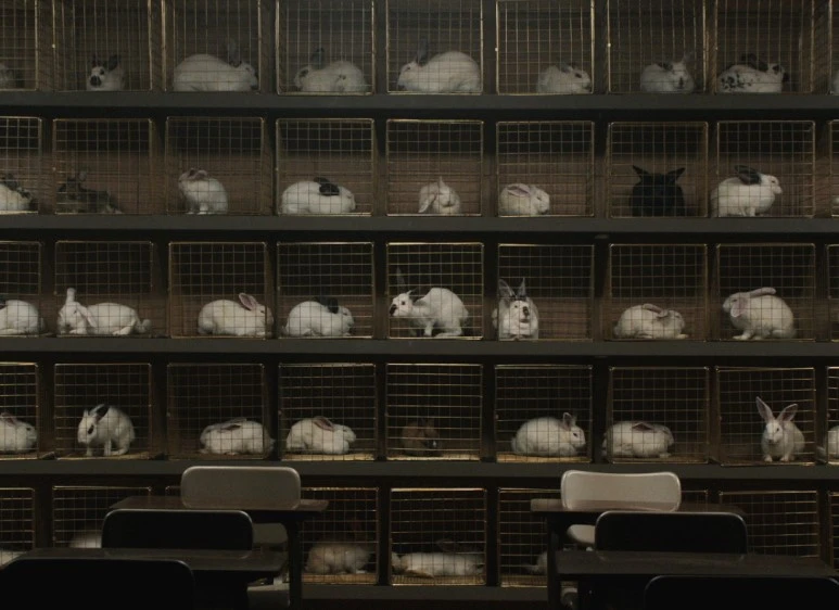 movie_image_(3).jpg?type=w773