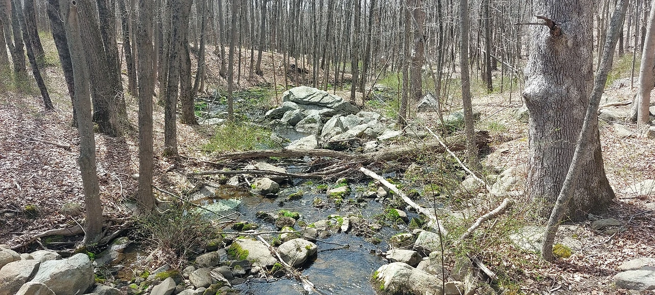 KakaoTalk_Photo_2023-04-11-10-16-54 002.jpeg