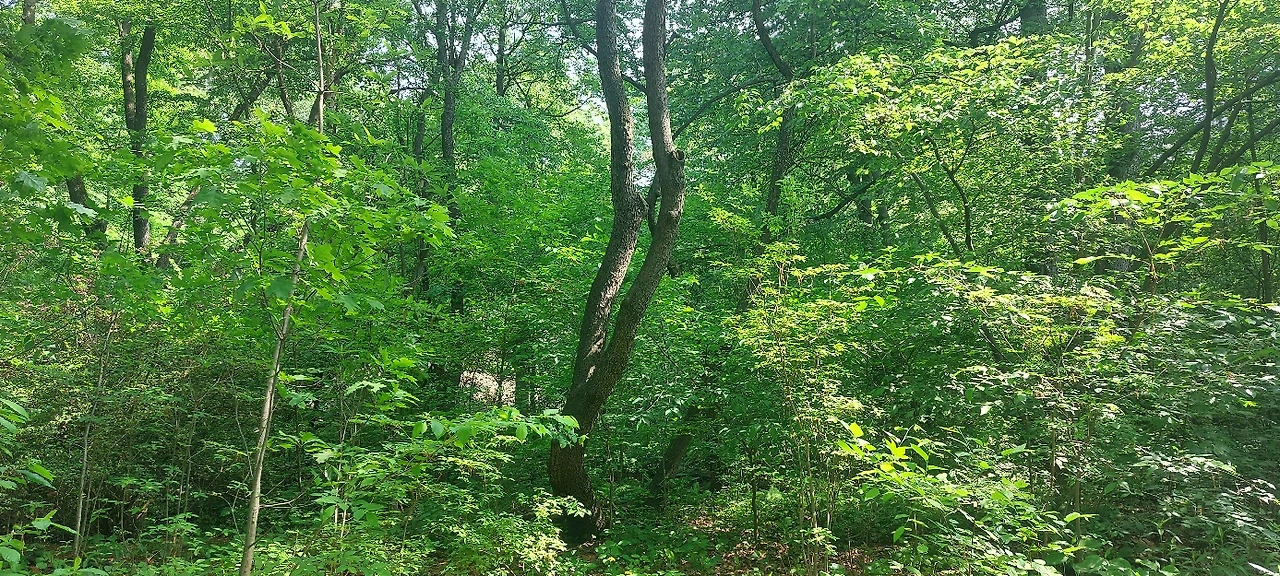 KakaoTalk_Photo_2023-05-15-11-04-34 003.jpeg