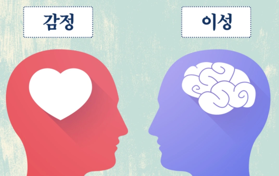 이미지 5-31-23 오후 8.05.jpeg