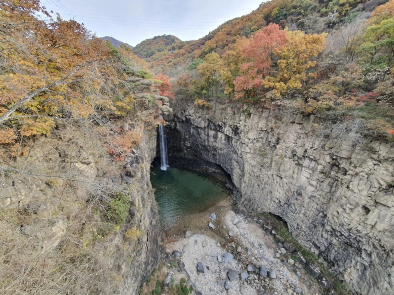 이미지 1-23-23 오전 11.34.jpeg