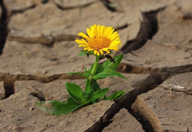 이미지 8-8-24 오전 8.34.jpeg