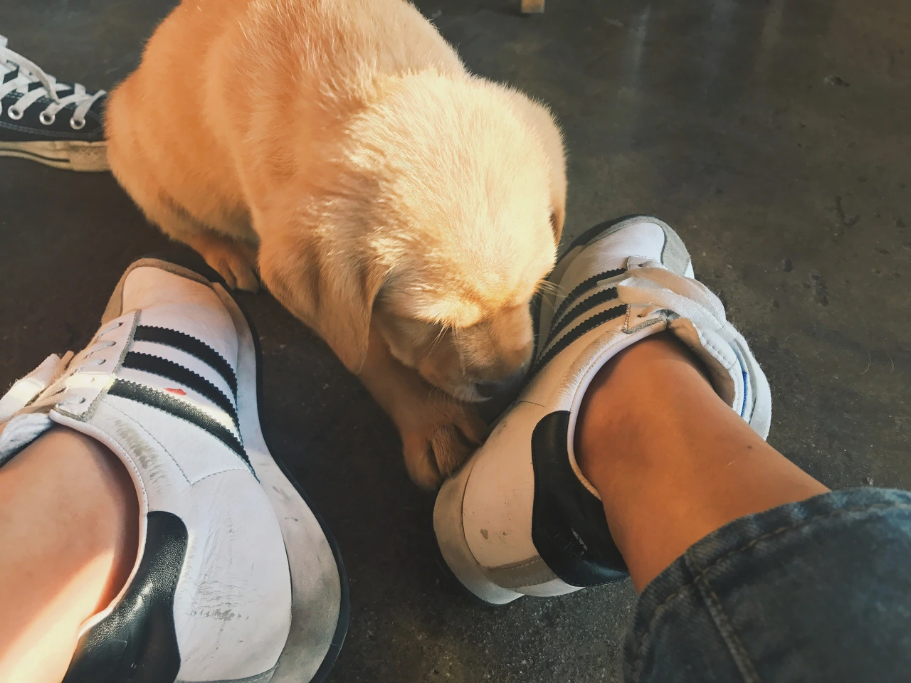 6fzDR0paeW1-lD2ykwUvy-eF84s3gQLQO-Q7k4UBl-9G6PyJWIV6kFvIRPeslIRZYiS3C7c7NfBlLDhLnILpYQ0mWD0ptaAkZZ-lfiKnb4y3YEzpFbCcmEITLhqWeR6BQLbBcfMv