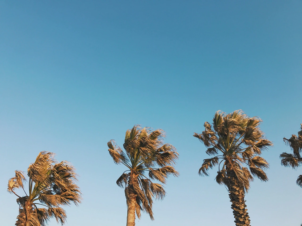 aPrIqlS0OKyK9fhqX9Ij_StF_17jl_KwwEtIG0y9GRX00AvH3nzZhmfdKOeHz4sW9t5NSeqYCEau_xvynXF8ki_-ZosGqpb1TluRXL0fuLcAeicA8ai-mtlil9dxXtOkaaa_NA1G