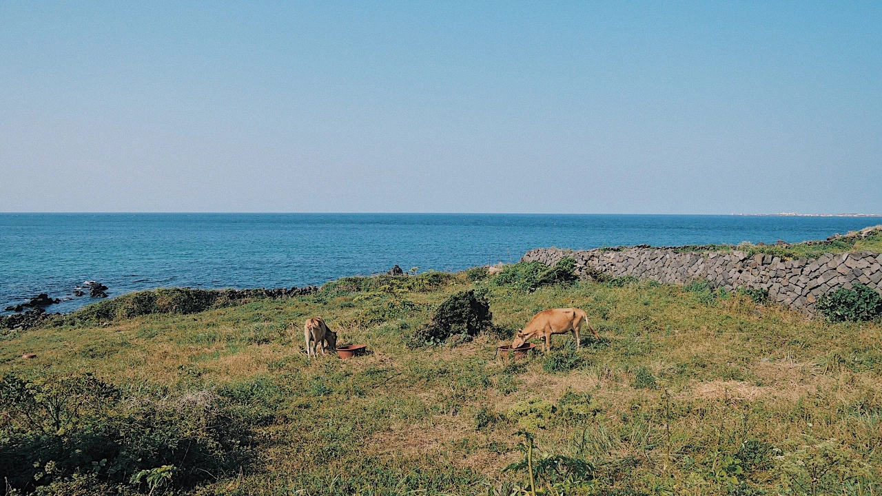 JBrTgjBdK2ZNTPExWLTSm5uyhyS8aIS_ACp-9dPCWw_OsDA3tAUfP3ZmoySu3rYMjkMyWPNbQSkSe_iYvPIy-cafF7hpaUvWE0uEfXvTKVfzrs0UIL7j-4Hlu46znCLVD1rWx-5b