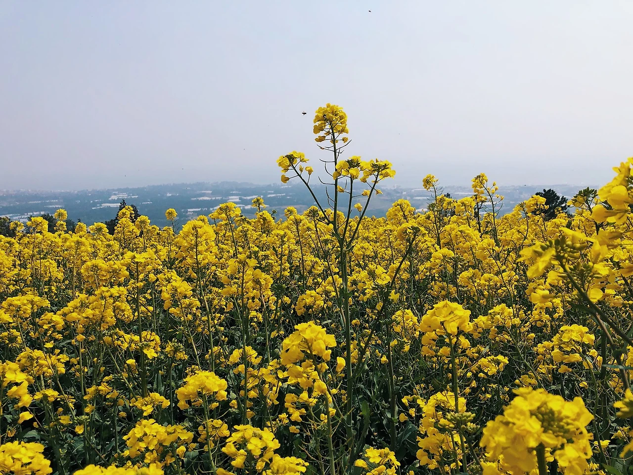 9bqHCIoVk6L1k1mAekqJK3zLeV8j3eoKDUXNxg-xGbRpp2ETeGIh0bnpIIlO4f8XMVYhaHvGgIsqD5lZKLljCWLAG0KJYPTHdl4FgxYLv6Qwsx-3YdFPOUrenRpNhBiLlon-9J3Z