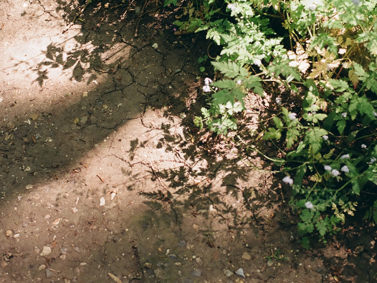 England_2018 (14).JPG