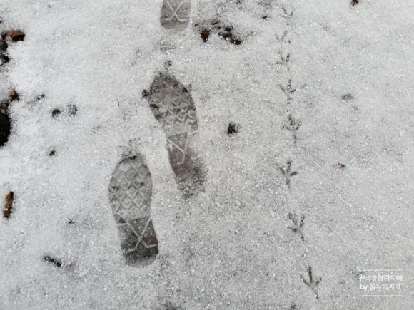 SE-56a4c453-7e43-11ec-97ab-539611dfbccc.jpg?type=w580