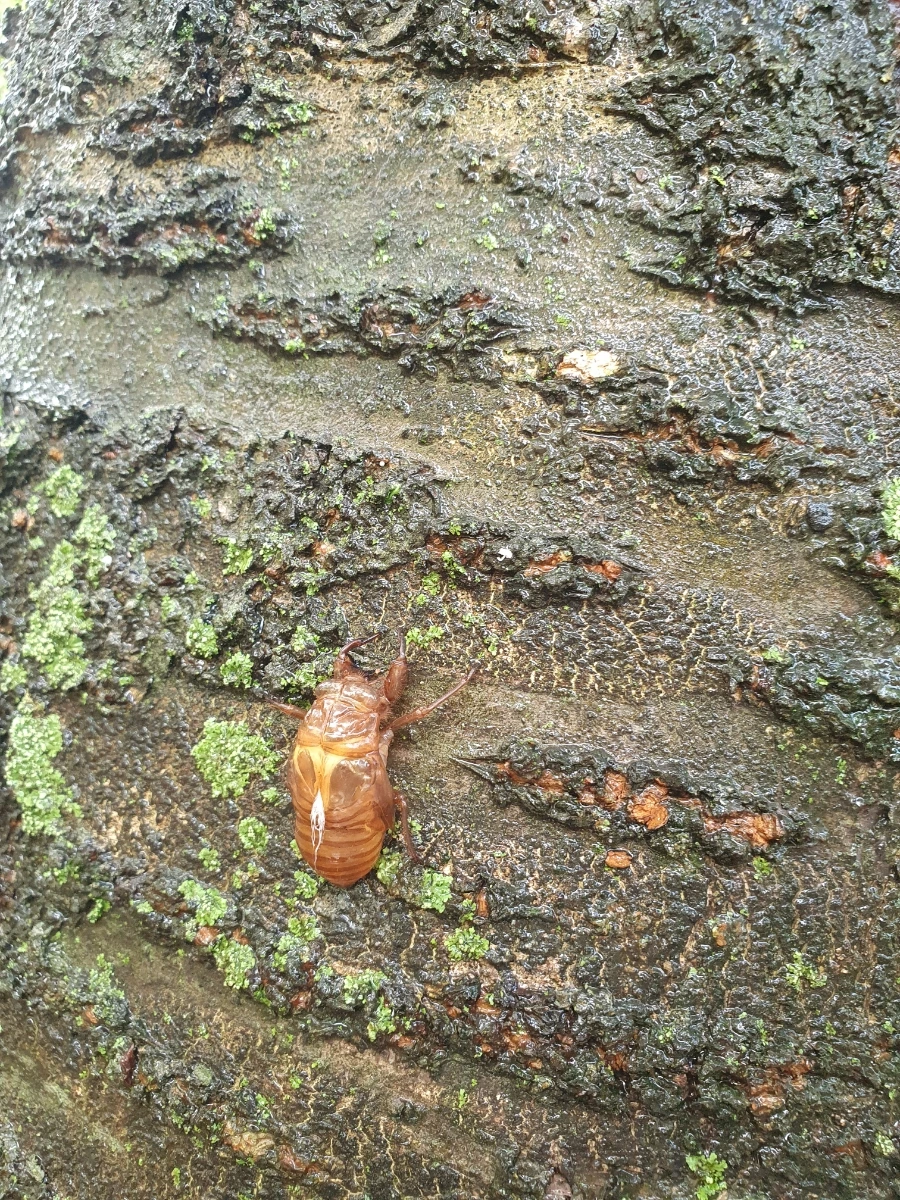 20220811%EF%BC%BF150529.jpg?type=w3840