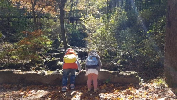 1540031451940.jpg?type=w580