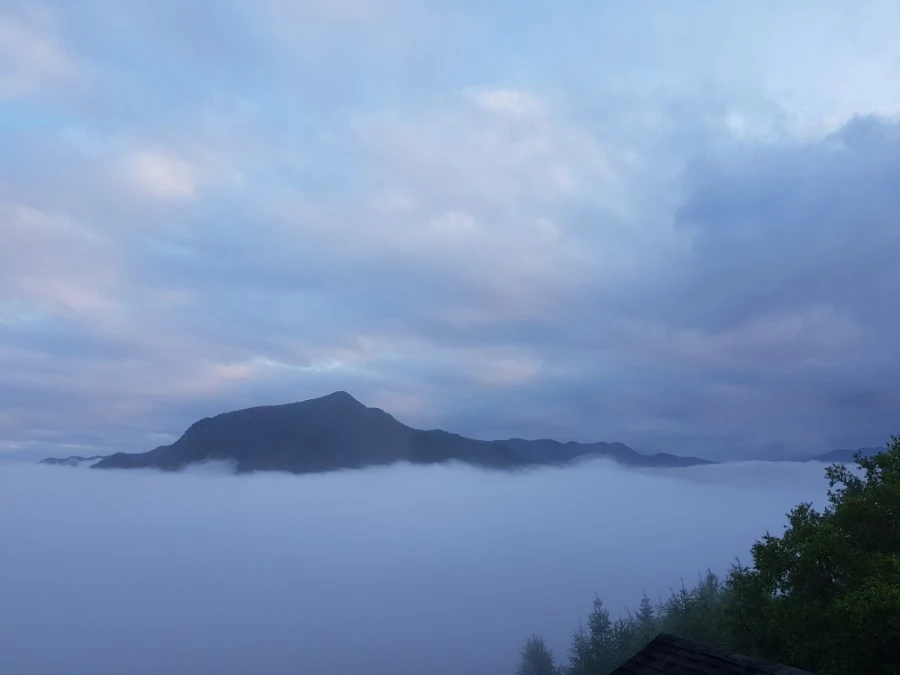 20190616_053328.jpg?type=w3840