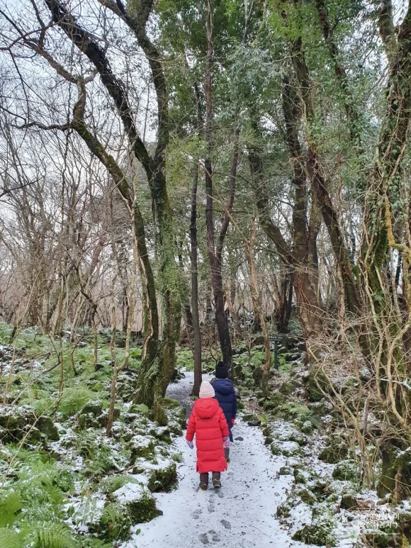 SE-568de0ee-7e43-11ec-97ab-7982c10e336a.jpg?type=w580