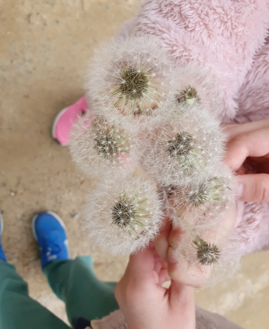 SE-05c9c226-ccf9-4d9c-ba6d-8a5d228b578c.jpg?type=w3840