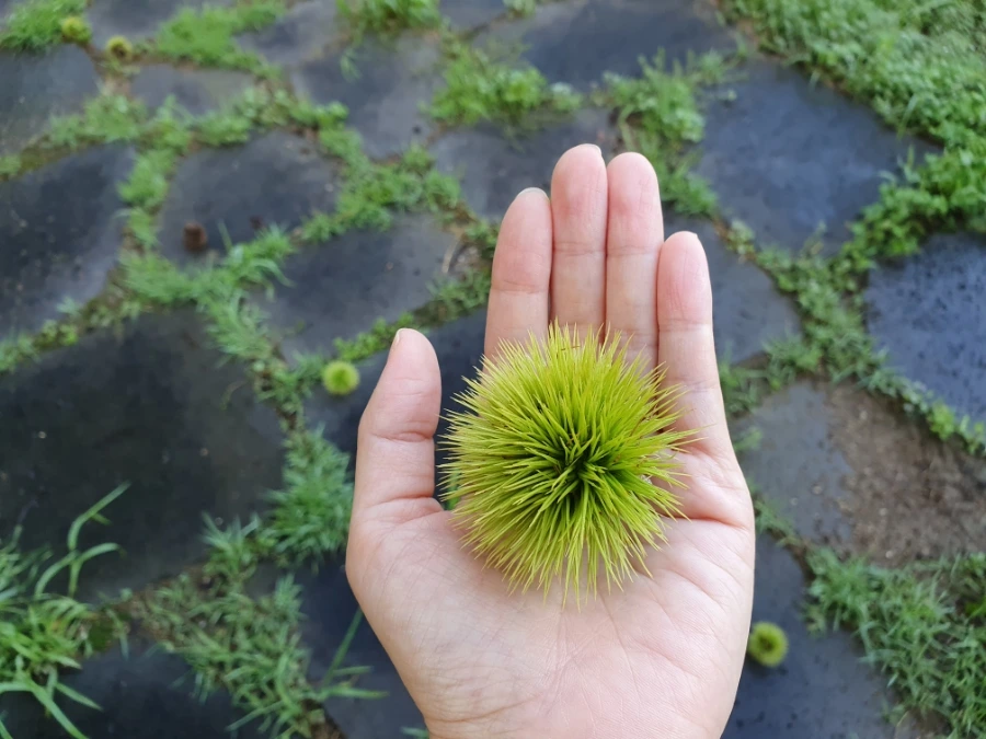 20220812%EF%BC%BF074303.jpg?type=w3840