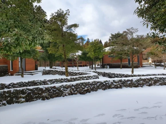 20220112%EF%BC%BF114006.jpg?type=w580