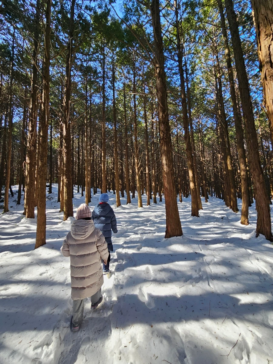 900%EF%BC%BF20250210%EF%BC%BF150248.jpg?type=w3840