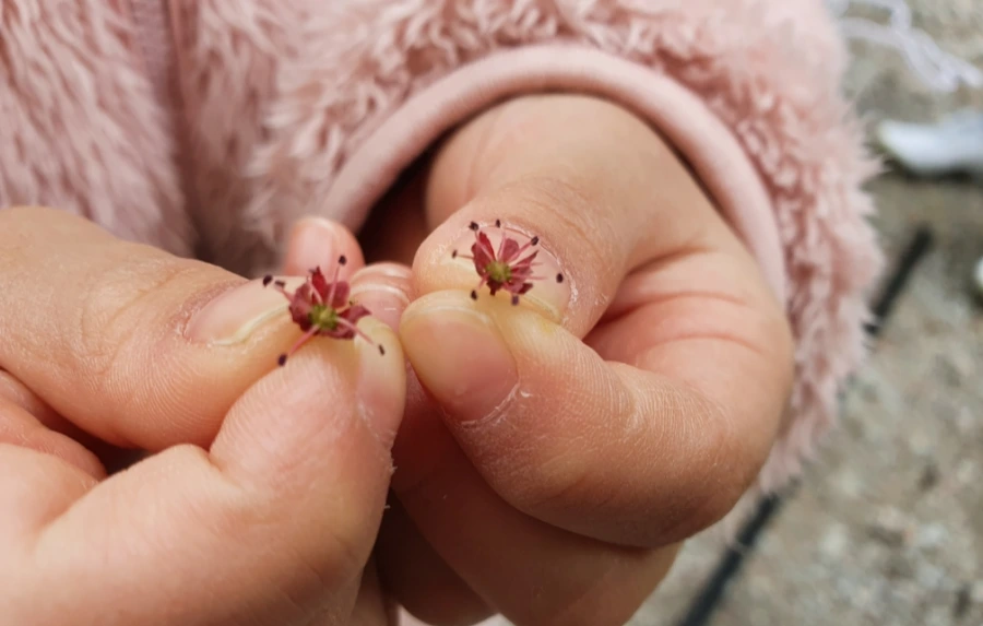 SE-f84a5743-d899-11ec-97d2-e54d940c1bc3.jpg?type=w3840