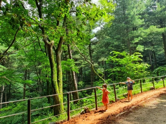 20210806%EF%BC%BF114145.jpg?type=w580