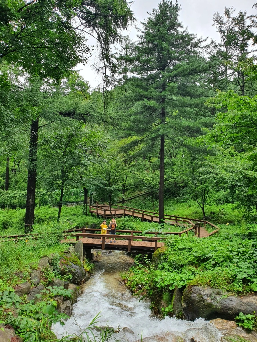 20220811%EF%BC%BF114040.jpg?type=w3840