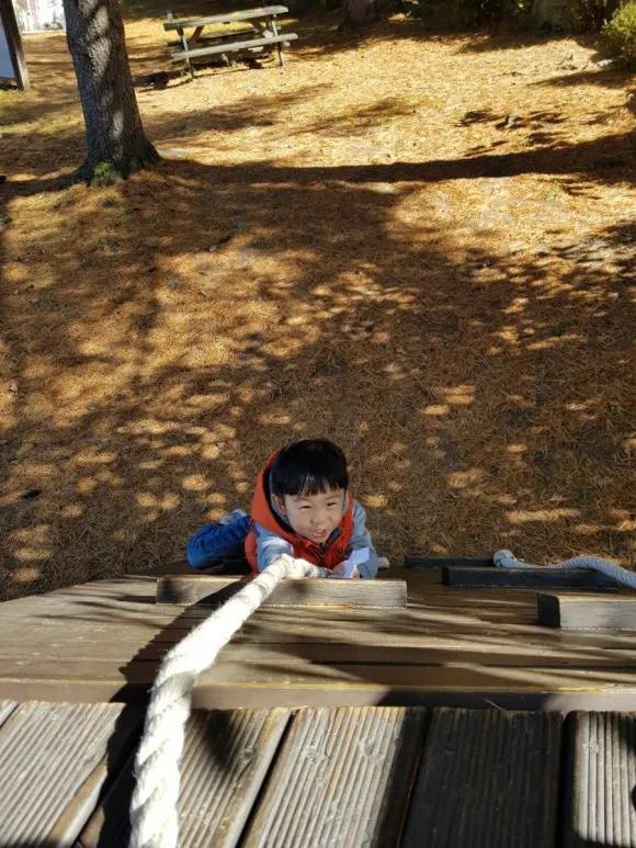 20181020_122837.jpg?type=w580