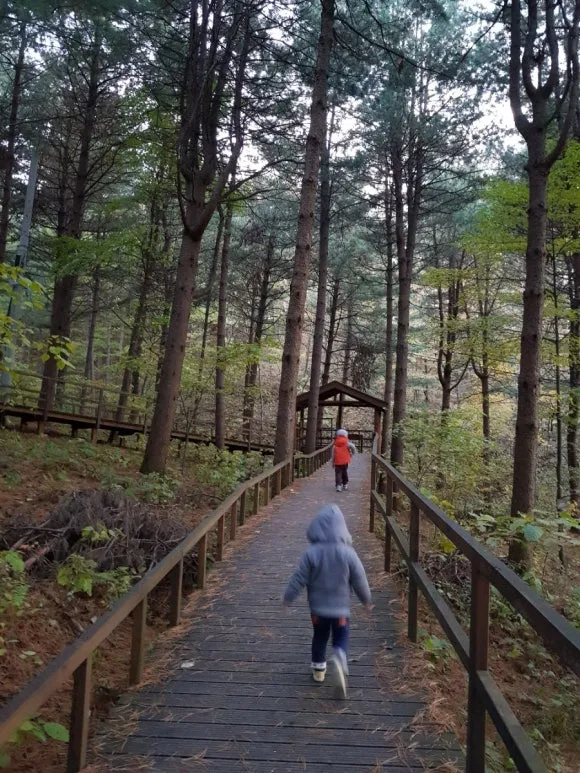 20181019_174425.jpg?type=w580