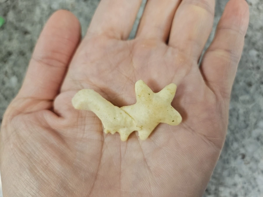 900%EF%BC%BF1754222796823.jpg?type=w1