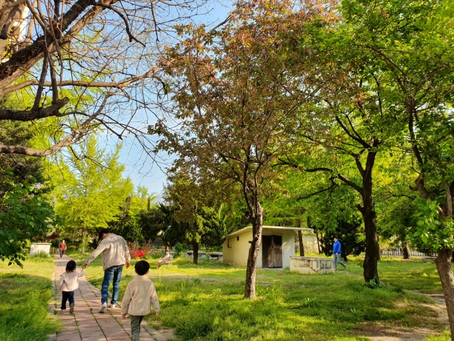 1587888979397.jpg?type=w3840