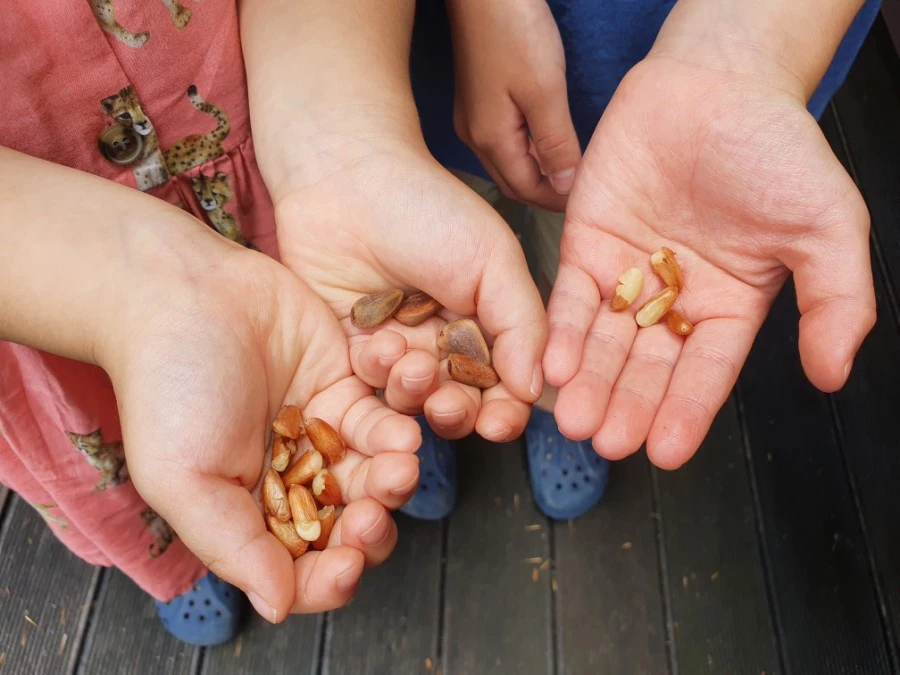 20210806%EF%BC%BF111114.jpg?type=w3840