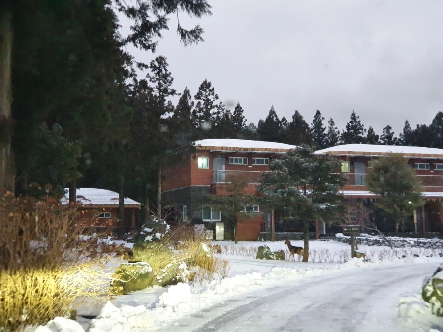 20220111%EF%BC%BF175731.jpg?type=w3840