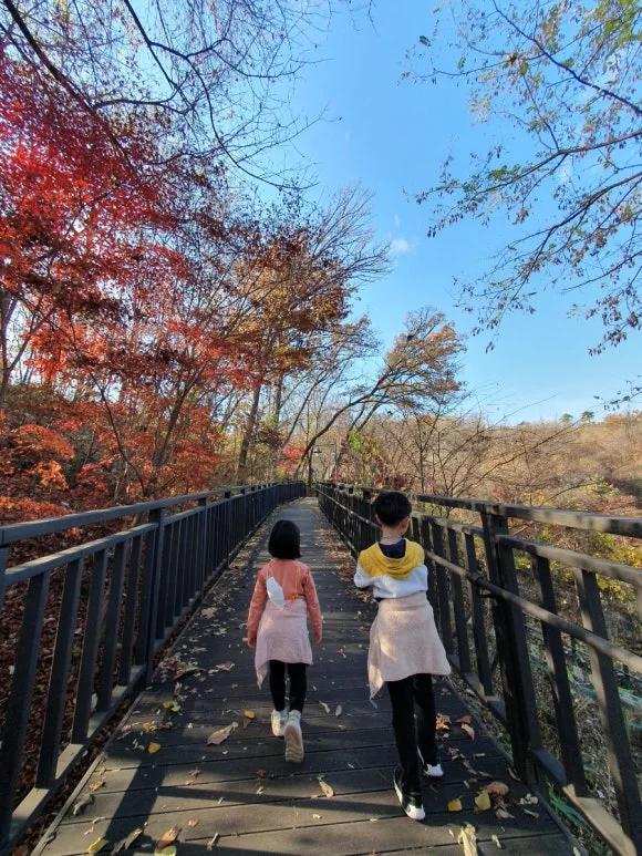 1669511148948.jpg?type=w580