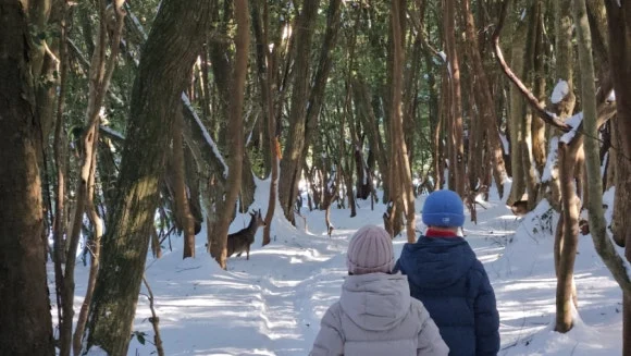 900%EF%BC%BF20250210%EF%BC%BF155328.jpg?type=w580