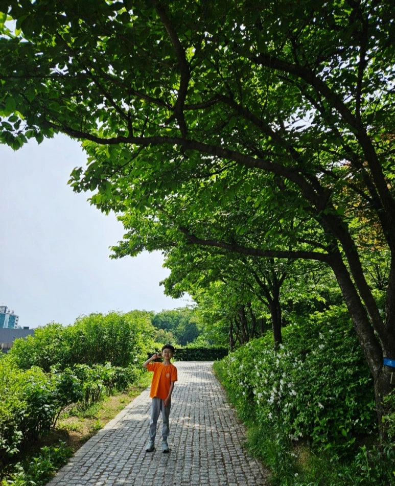 SE-cec9eeb5-0918-11ef-a90c-371d45d360a5.jpg?type=w773