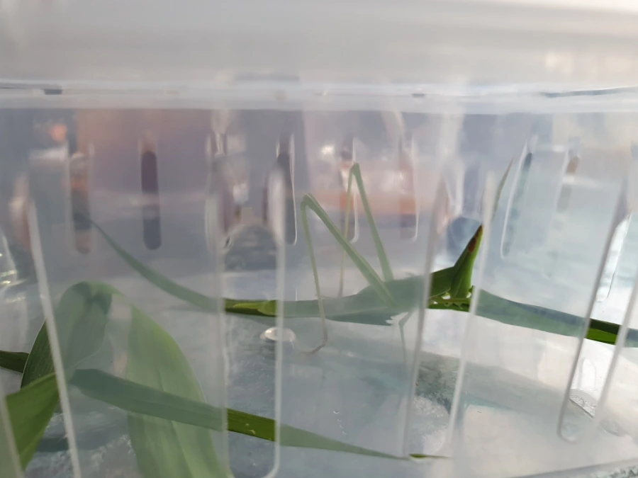 20220811%EF%BC%BF161732.jpg?type=w3840