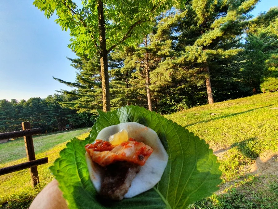 20210805%EF%BC%BF183909.jpg?type=w3840