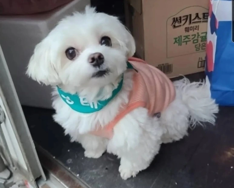 SE-5f60bd29-3aa0-462f-a24a-dd366b5143f3.jpg?type=w1