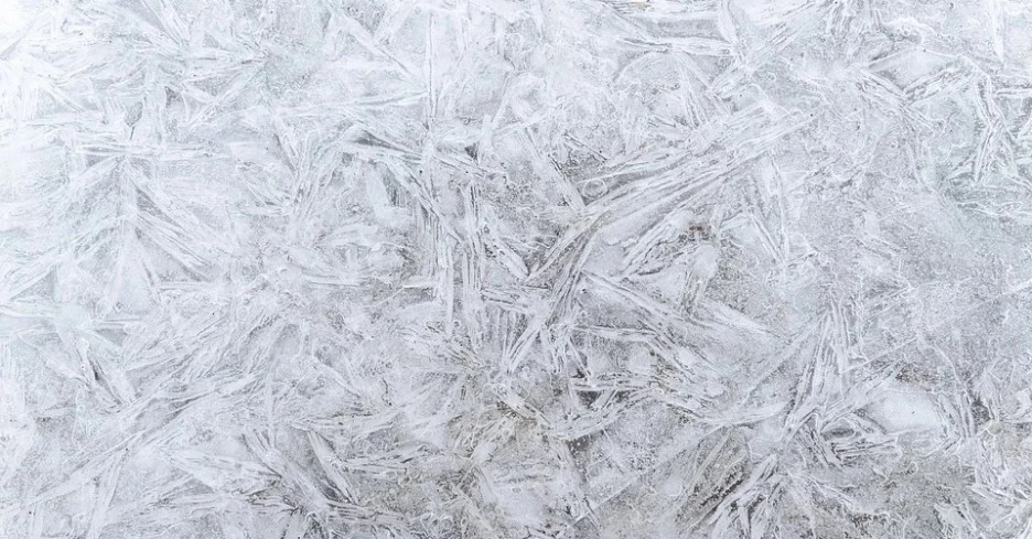 SE-169ec397-c820-41a4-9e42-065620f17f5e.jpg?type=w1