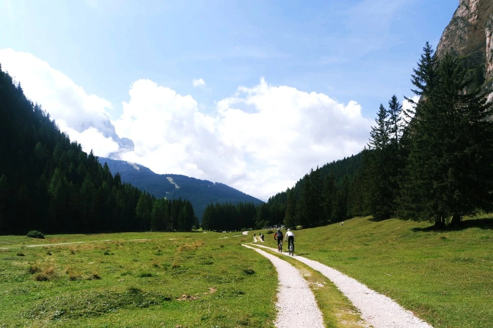 image_7831307871522466926704.jpg?type=w966