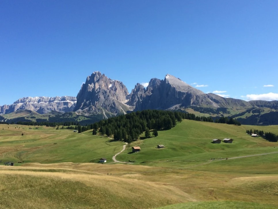 image_9474340341519726905302.jpg?type=w966