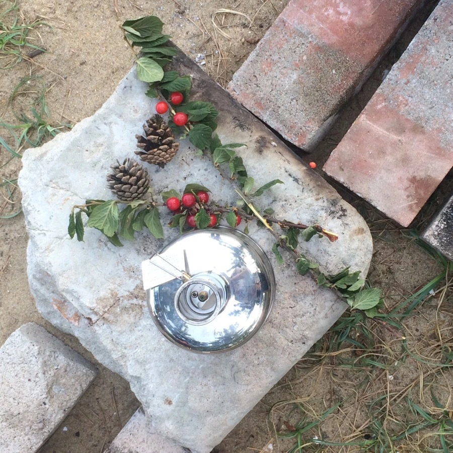 IMG_5546.jpg?type=w966