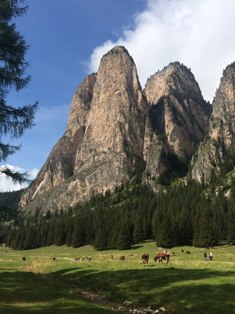 P20150911_135919853_1C0C41B7-8406-46CC-A0C4-90BEADDE8F80.JPG?type=w966