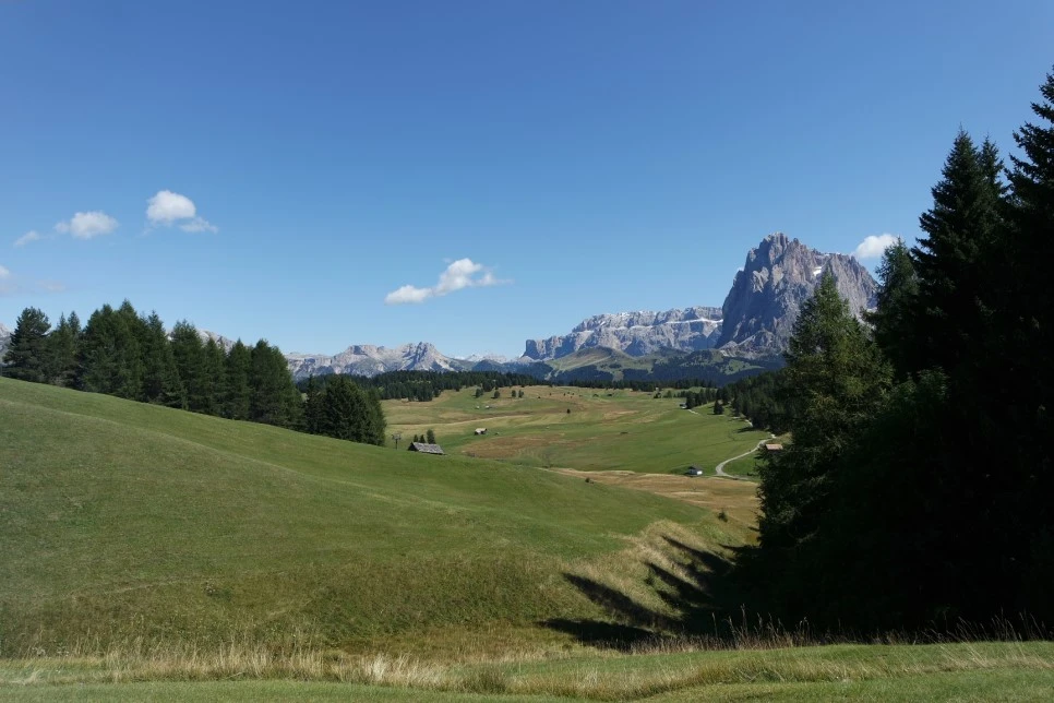 09071985.JPG?type=w966