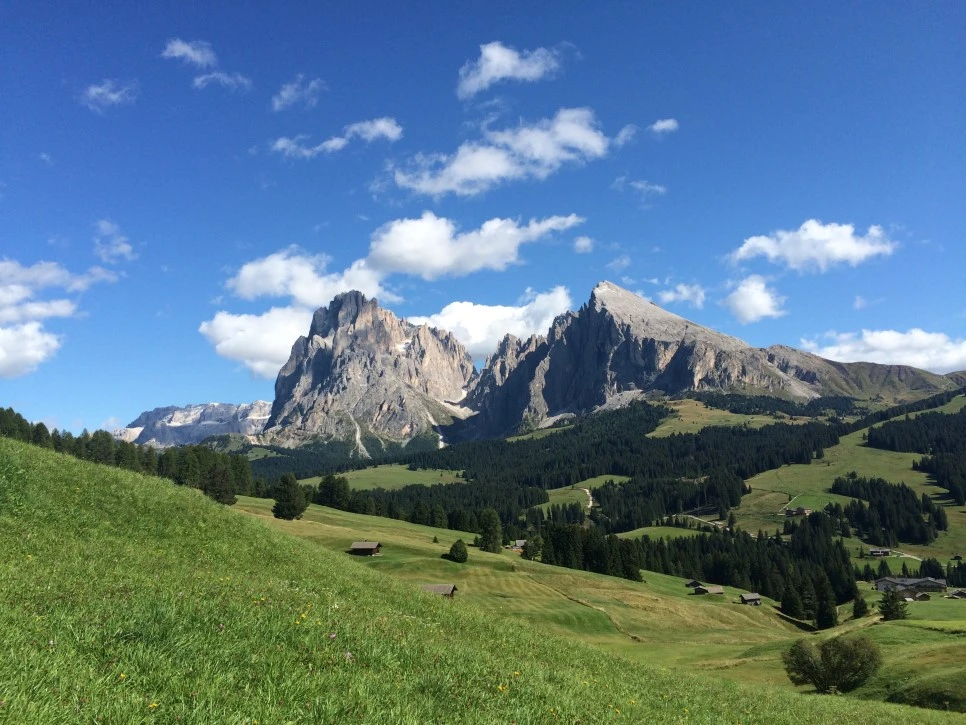 P20150907_152843572_73609862-E856-4E6B-93CD-CBB05CF803D9.JPG?type=w966