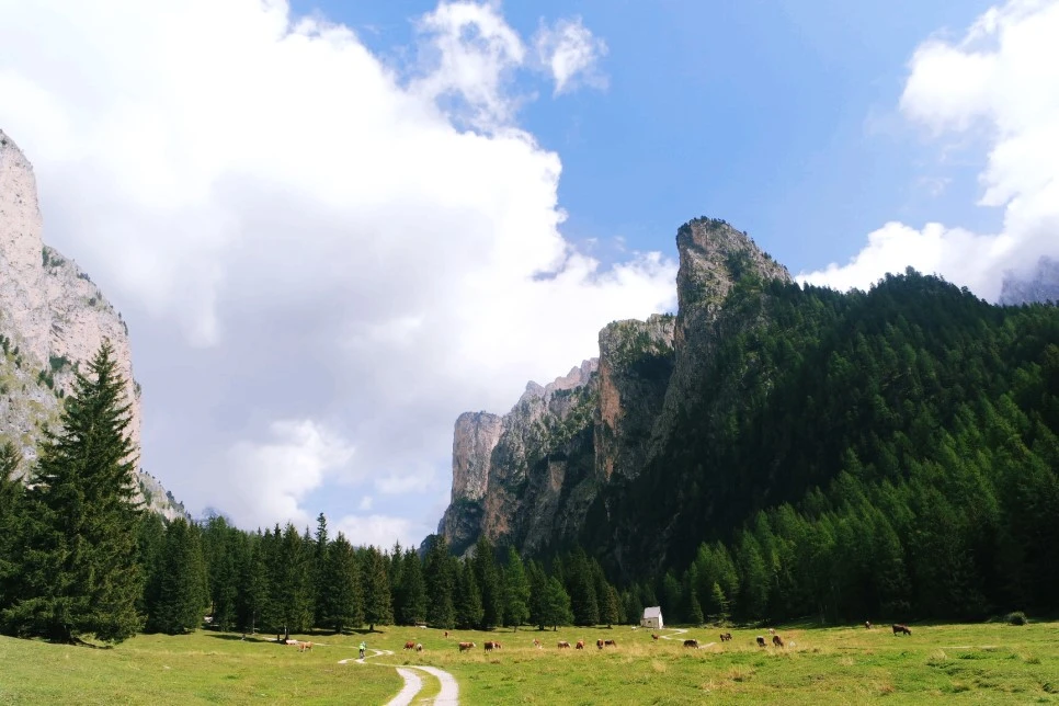 image_5129438881522466926704.jpg?type=w966