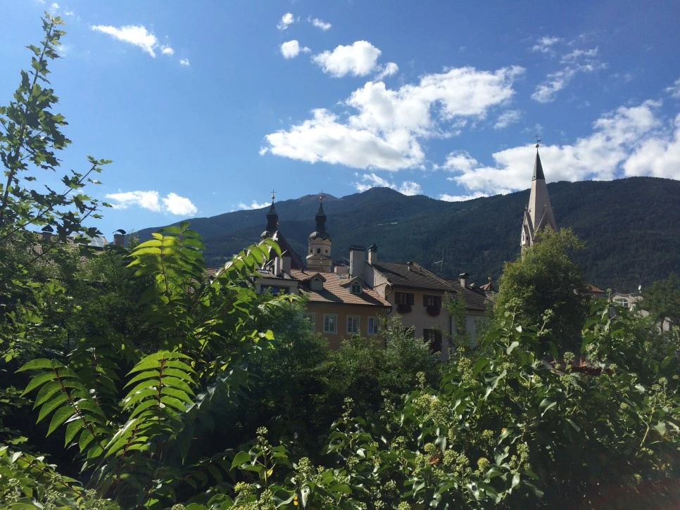 P20150908_155055973_4E05BDBA-CEDD-45BE-9C17-F222DBF6DBB6.JPG?type=w966