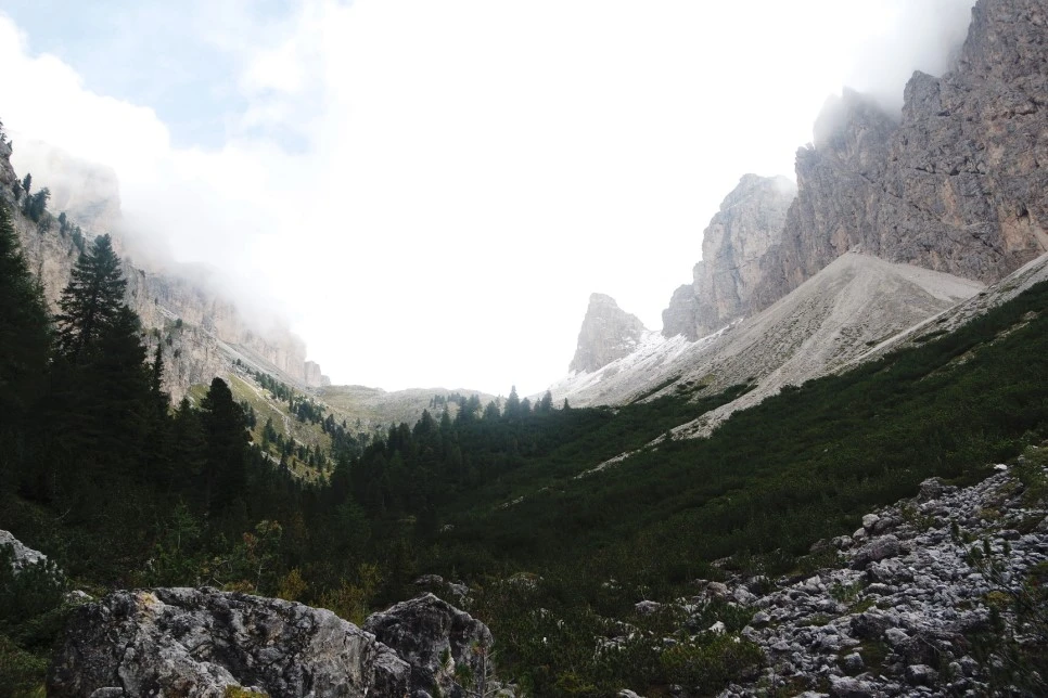 image_9087460191522466926703.jpg?type=w966