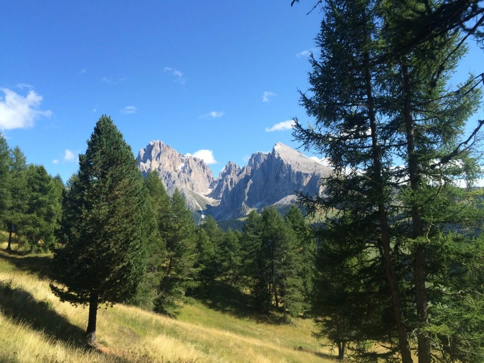 P20150907_144704474_B7E8466F-290F-4694-B224-2FEDD9C09E28.JPG?type=w966